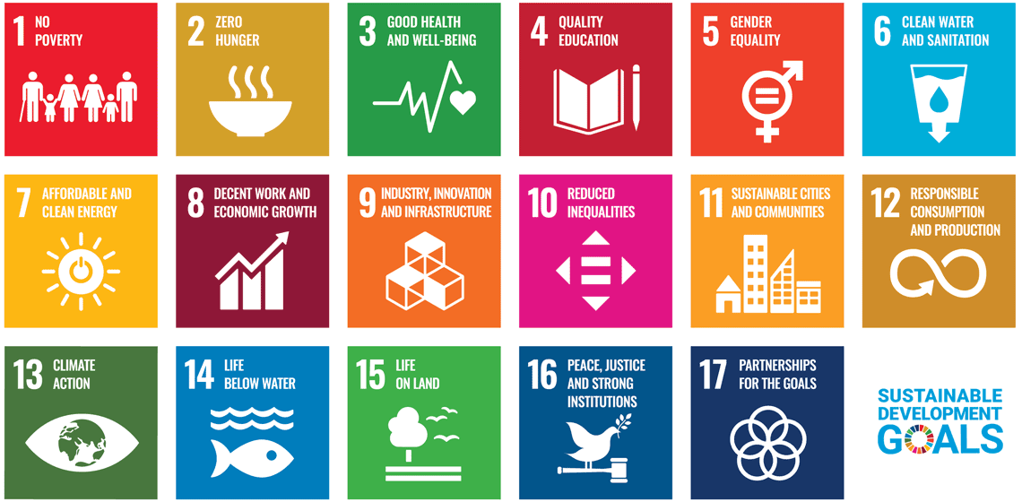 SDG 17 sustainable development goals | Beyond.pl